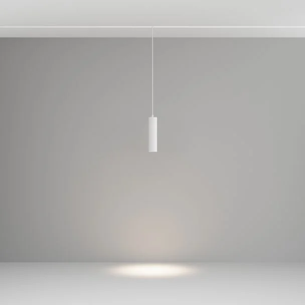 MAYTONI Lampa szynowa podwieszana TR041-4-12WTW-DD-W