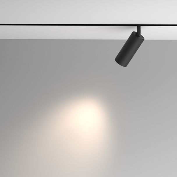 MAYTONI Lampa szynowa TR097-2-12W4K-M-BB