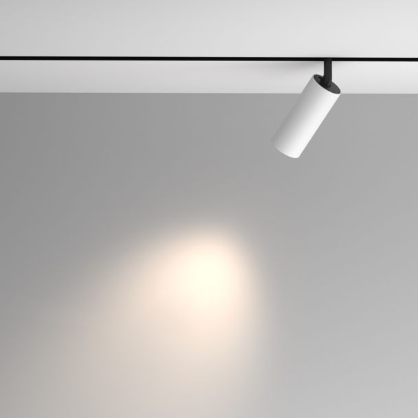 MAYTONI Lampa szynowa TR097-2-12W4K-M-BW