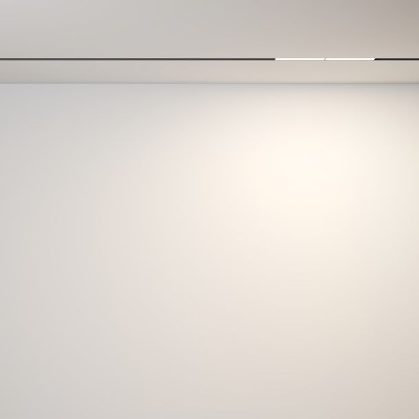 MAYTONI Lampa szynowa TR106-2-12W3K-B