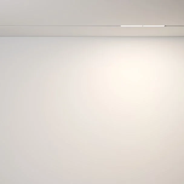 MAYTONI Lampa szynowa TR106-2-12W3K-W