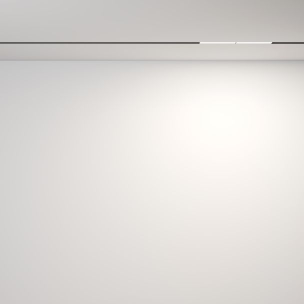 MAYTONI Lampa szynowa TR106-4-12W-DS-B