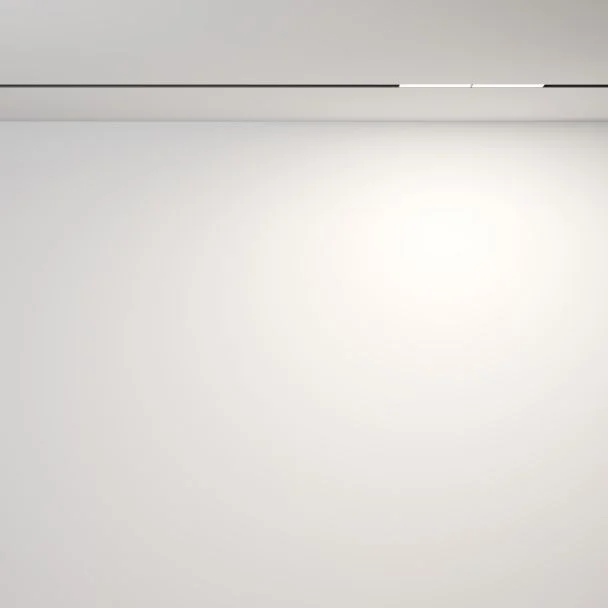 MAYTONI Lampa szynowa TR106-4-12W-DS-B