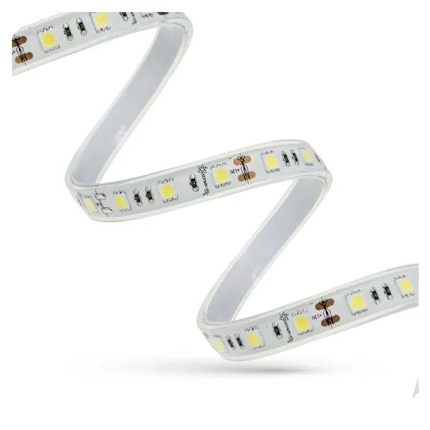 SPECTRUMLED 14330 Pasek LED PASEK LED 48W 5050 60LED NW 5 lat 1m (rolka 5m) - w silikonie