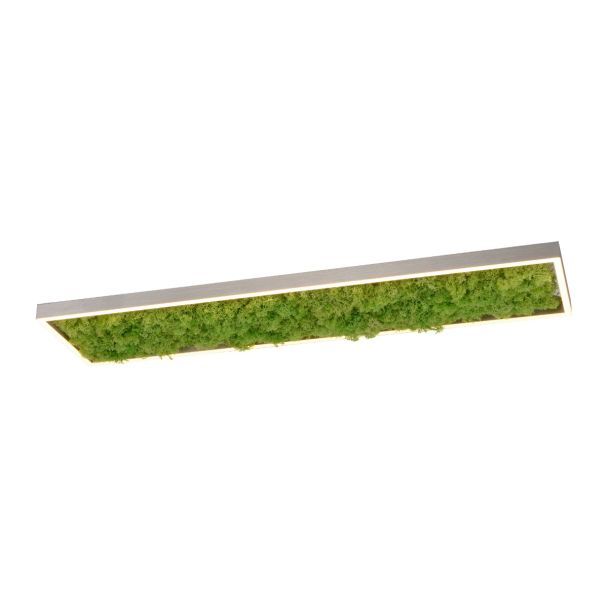 ZUMALINE 15623-66 GREEN KNUT LAMPA SUFITOWA NATURALNY MECH