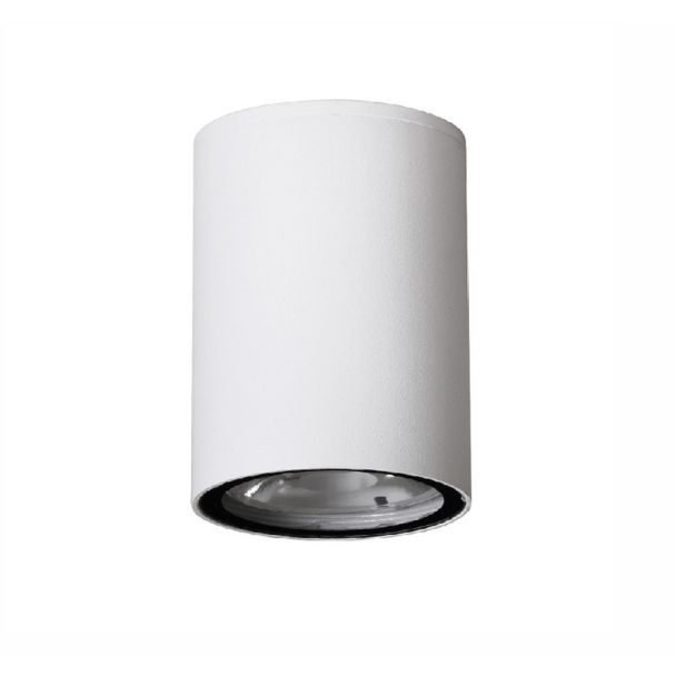 Luces Exclusivas SARAVENA LE71417 LAMPA ZEWNĘTRZNA SUFITOWA biały
