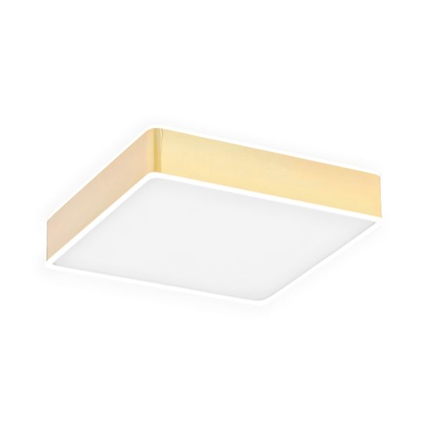 WYPRZEDAŻ ARGON ATLANTIS 4051 plafon LED średni złoty połysk, białe wykończenie