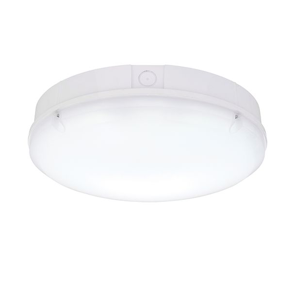 SAXBY 77901 Forca CCT emergency IP65 18W Flush Outdoor